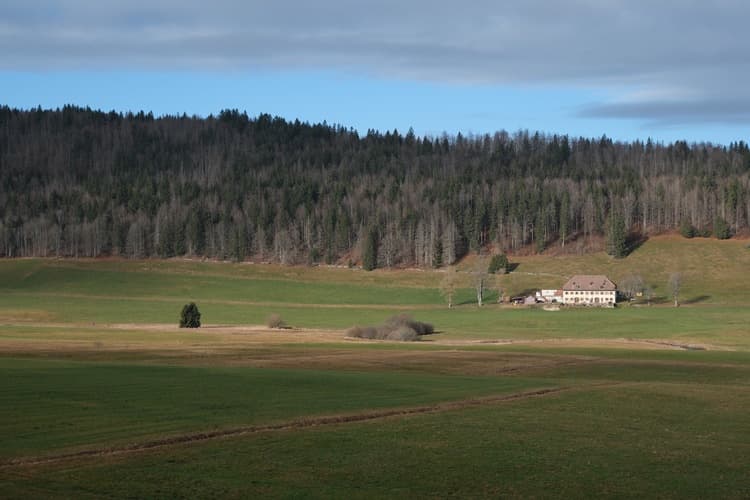 A Visit to Le Brassus: The Heart of Watchmaking